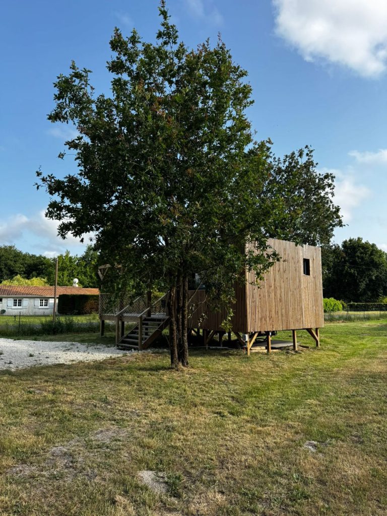 La tiny au milieu du jardin arboré