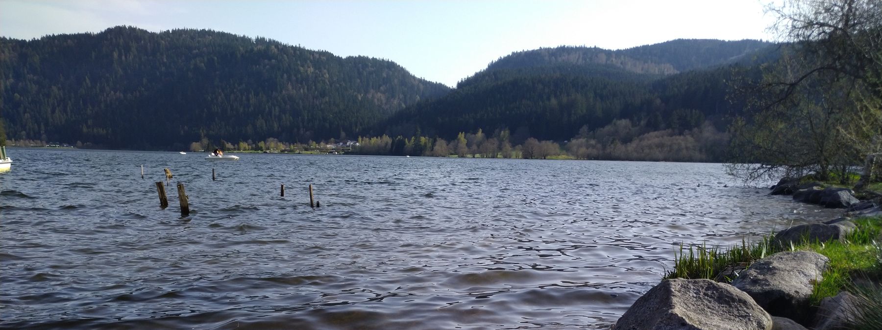 Le lac de Gérardmer entouré de forêts de sapins