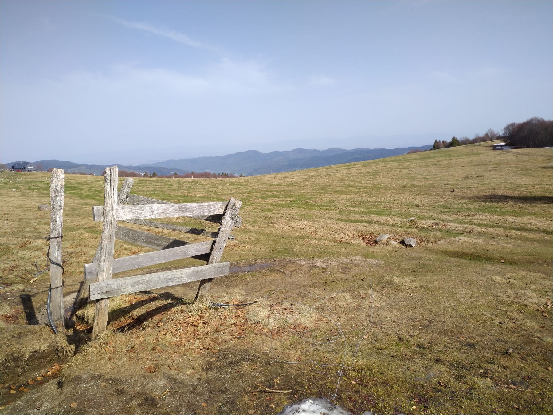 Pâturages d'altitude et barrière en bois sur les crêtes des Vosges
